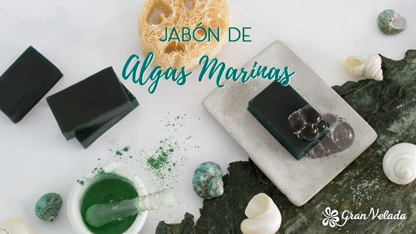 jabon de algas marinas post